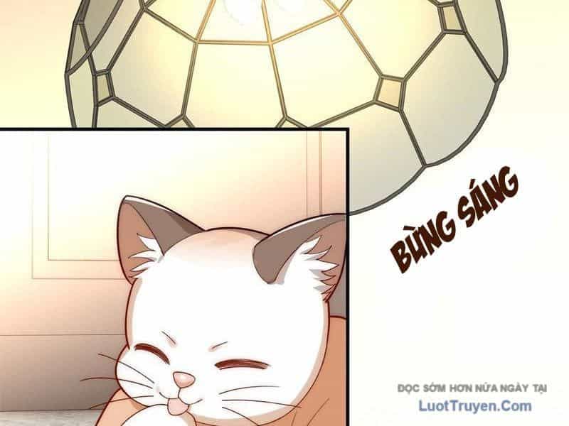 Thế Giới Quỷ Dị? Ta Sớm Đã Thông Quan - Chương 19 - ảnh 25