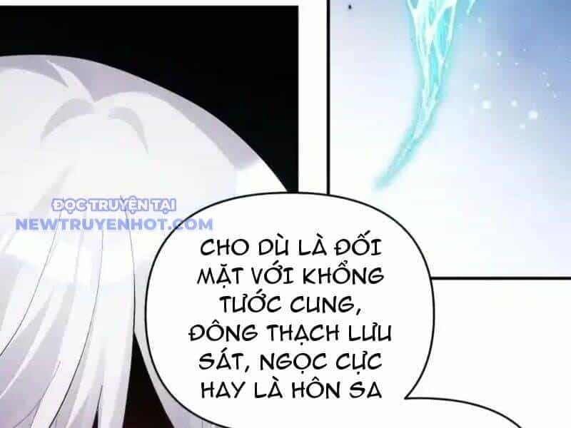 Thế Nhân Thực Sự Tin Tôi Là Đại Boss - Chương 103 - ảnh 46