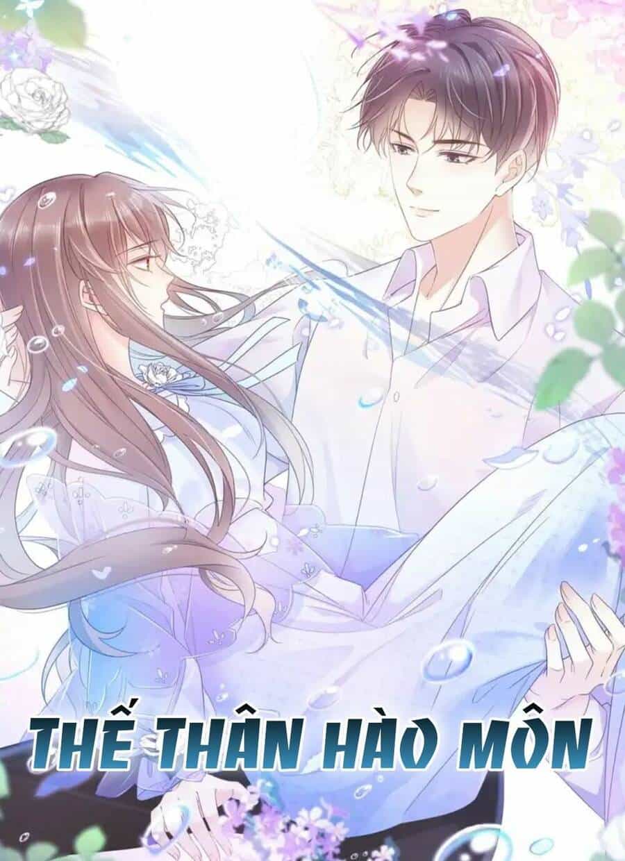Thế Thân Hào Môn - Chương 4 - ảnh 1