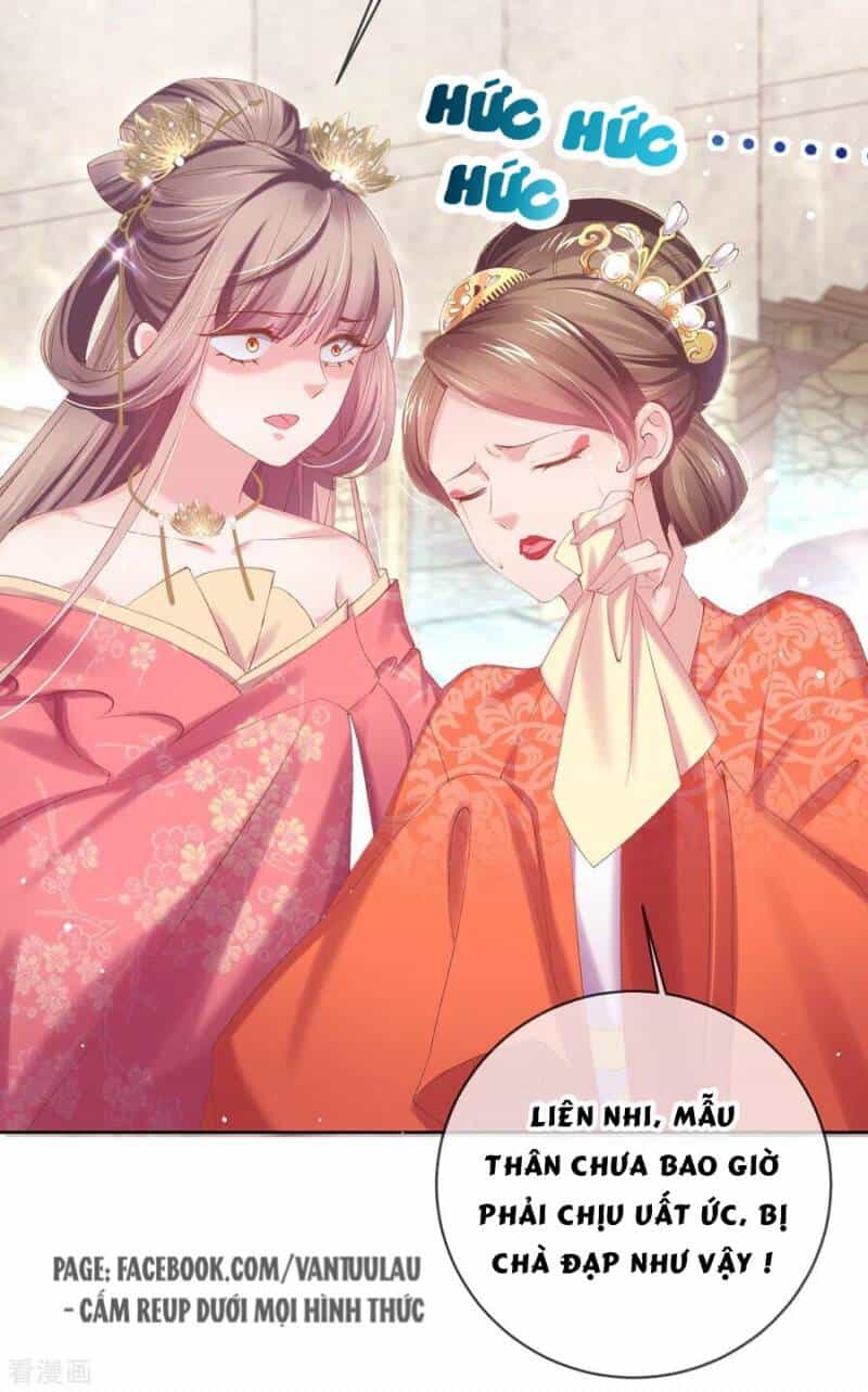 Thị Huyết Y Phi - Chương 81 - ảnh 5