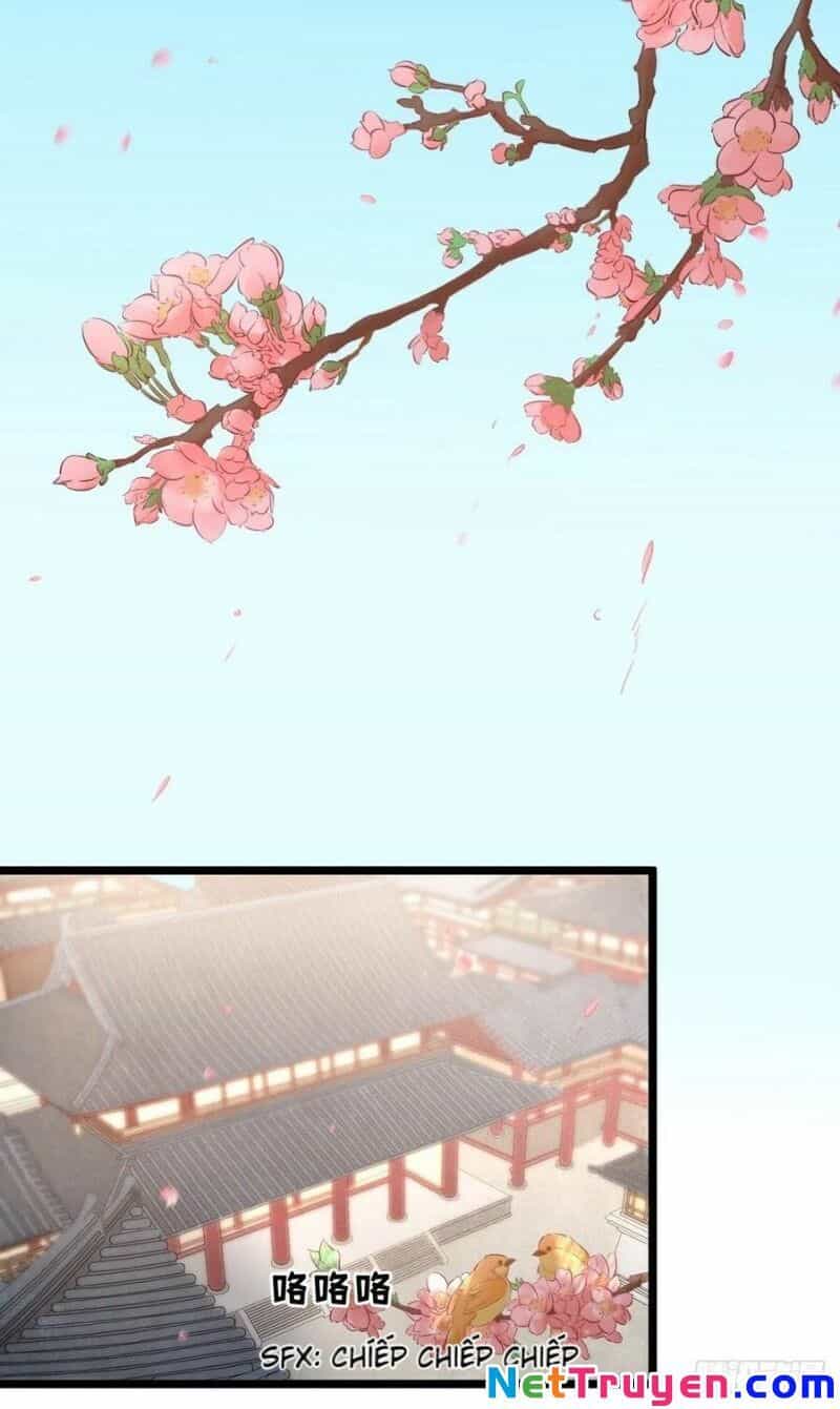 Thị Thiếp Trở Mình Bảo Điển - Chương 29 - ảnh 6
