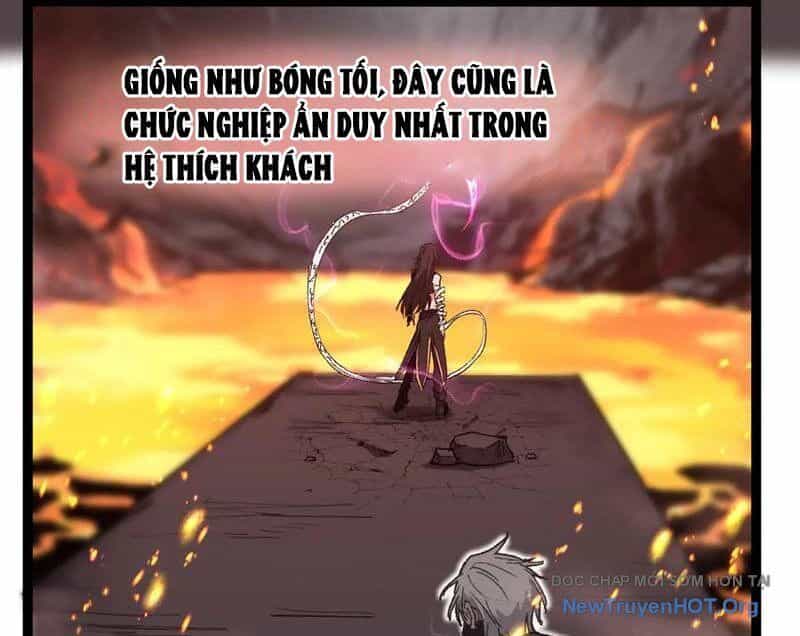 Thích Khách Thần Cấp, Ta Chính Là Bóng Đêm - Chương 48 - ảnh 10