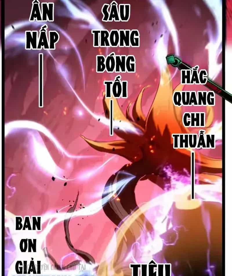 Thích Khách Thần Cấp, Ta Chính Là Bóng Đêm - Chương 94 - ảnh 40