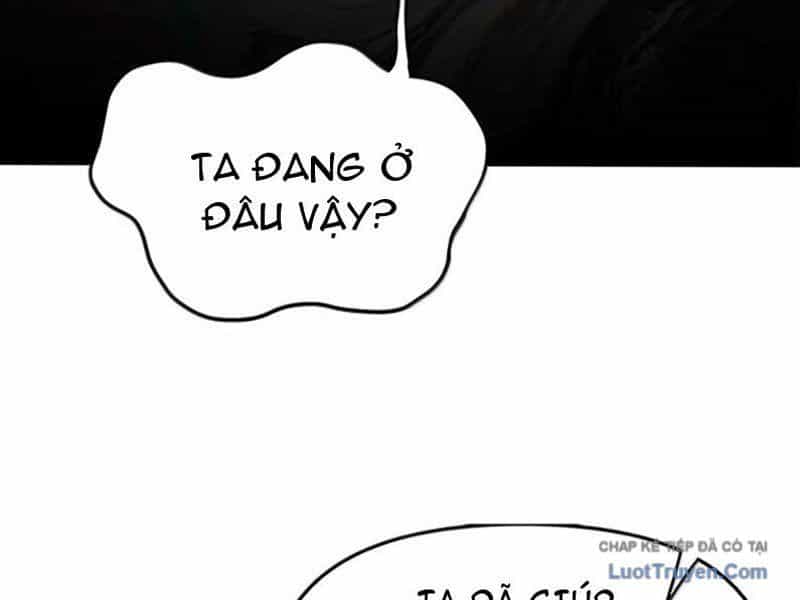 Thiên Đạo Này Cũng Không Ngốc Lắm - Chương 171 - ảnh 23