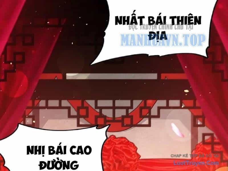 Thiên Đạo Này Cũng Không Ngốc Lắm - Chương 173 - ảnh 52
