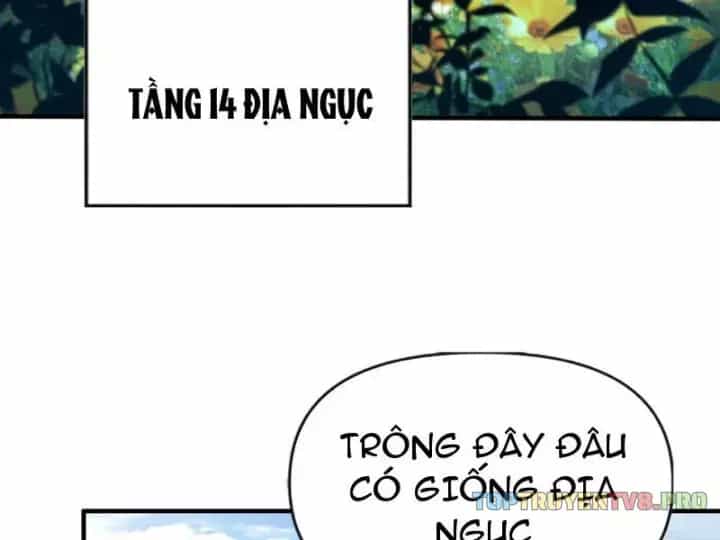 Thiên Đạo Này Cũng Không Ngốc Lắm - Chương 185 - ảnh 6