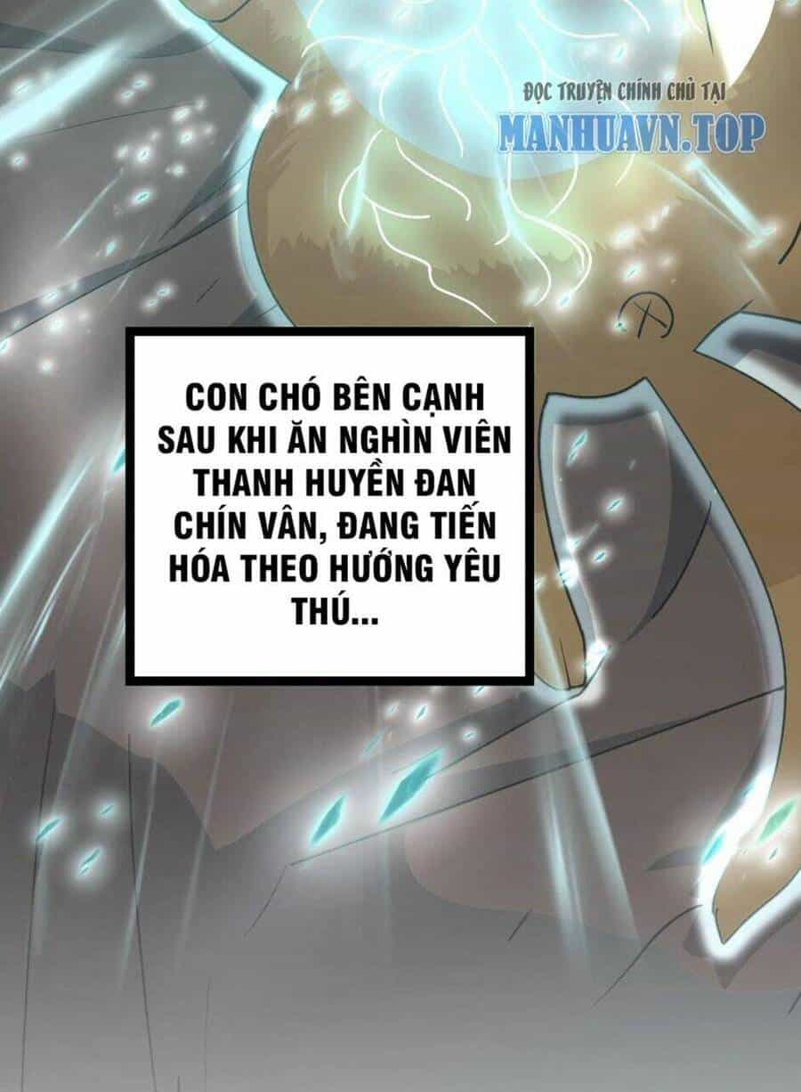 Thiên Khải Bại Gia - Chương 14 - ảnh 23