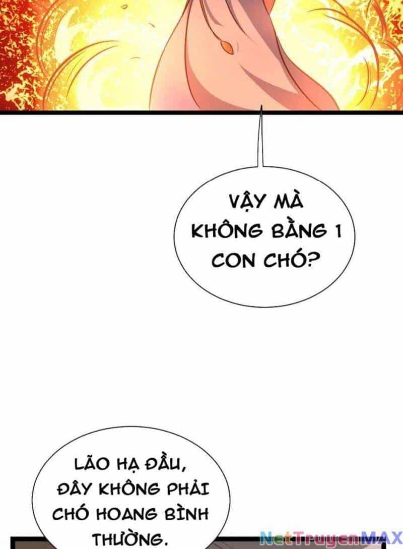 Thiên Khải Bại Gia - Chương 15 - ảnh 21
