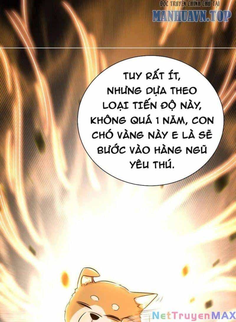Thiên Khải Bại Gia - Chương 15 - ảnh 23