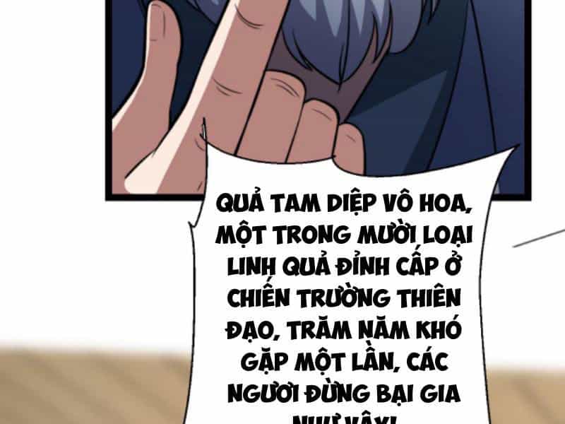 Thiên Khải Bại Gia - Chương 187 - ảnh 32