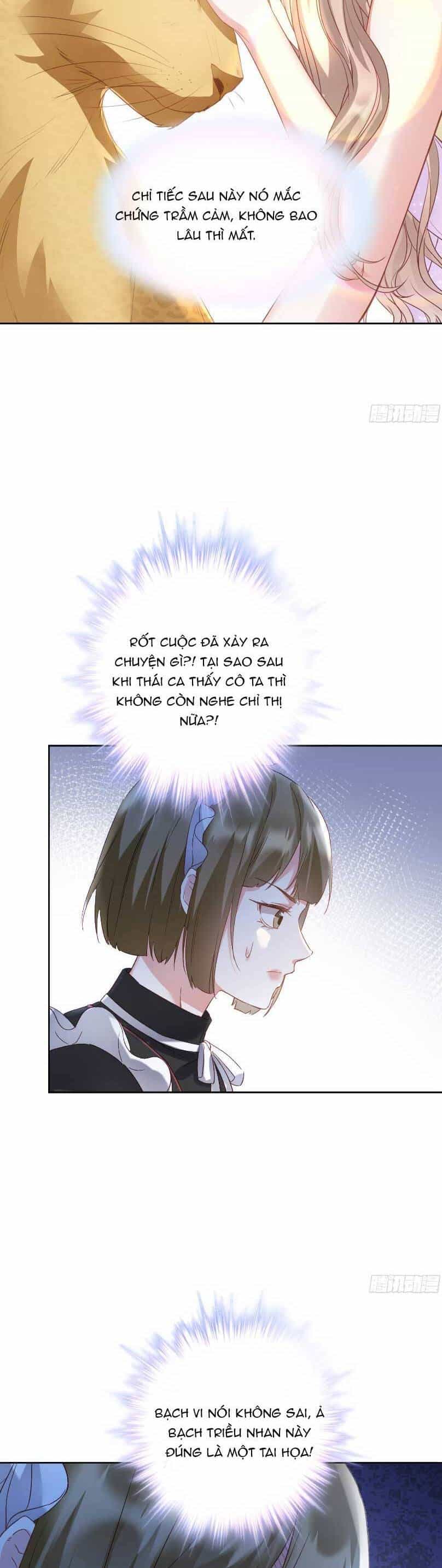 Thiên Kim Giàu Có Phát Điên Sau Khi Tái Sinh - Chương 6 - ảnh 9