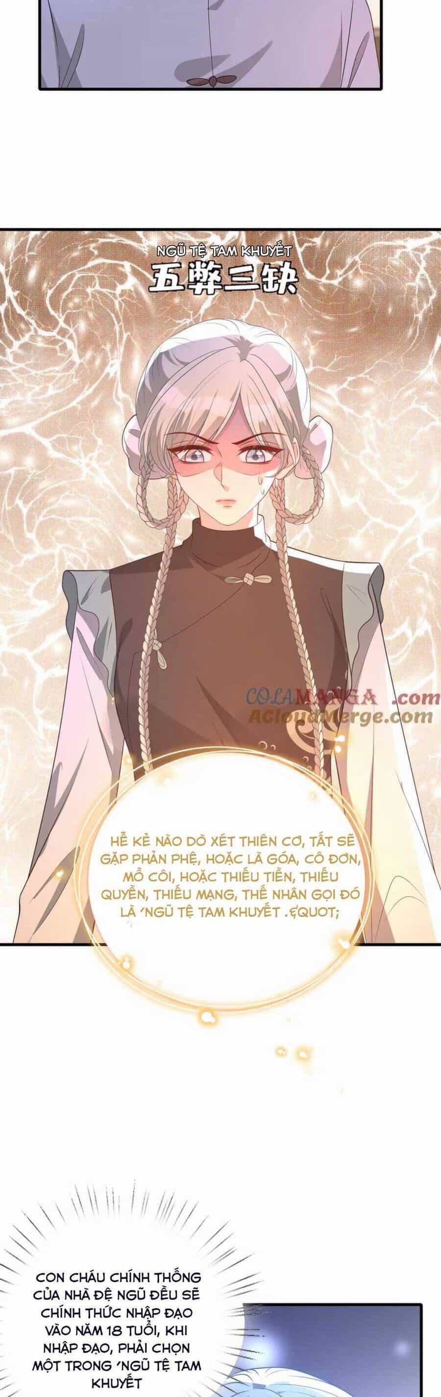 Thiên Kim Toàn Năng Đại Tài - Chương 160 - ảnh 7