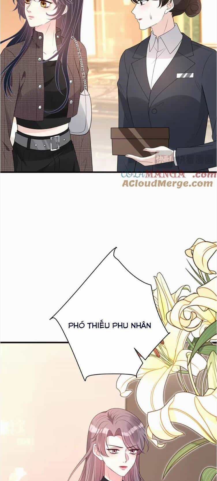Thiên Kim Toàn Năng Đại Tài - Chương 168 - ảnh 17