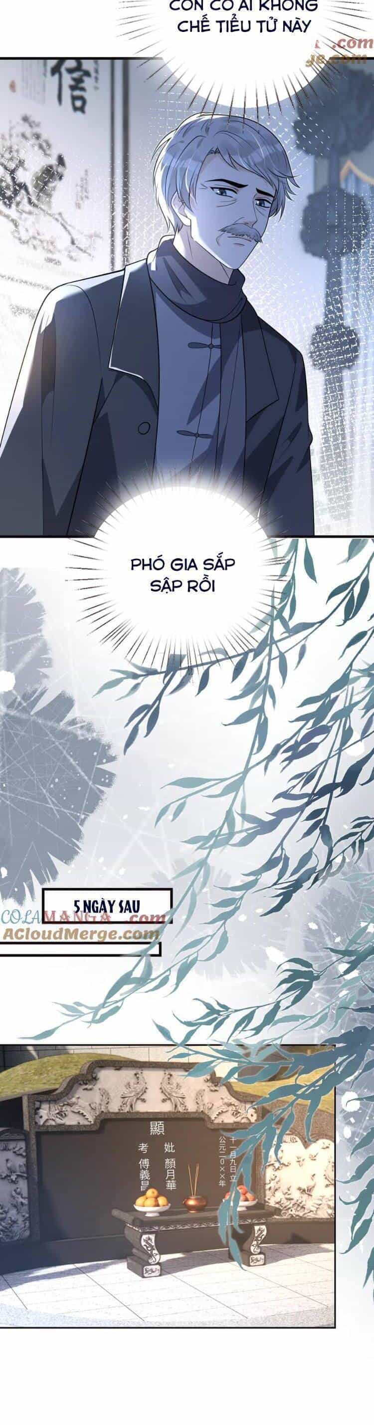 Thiên Kim Toàn Năng Đại Tài - Chương 173 - ảnh 7