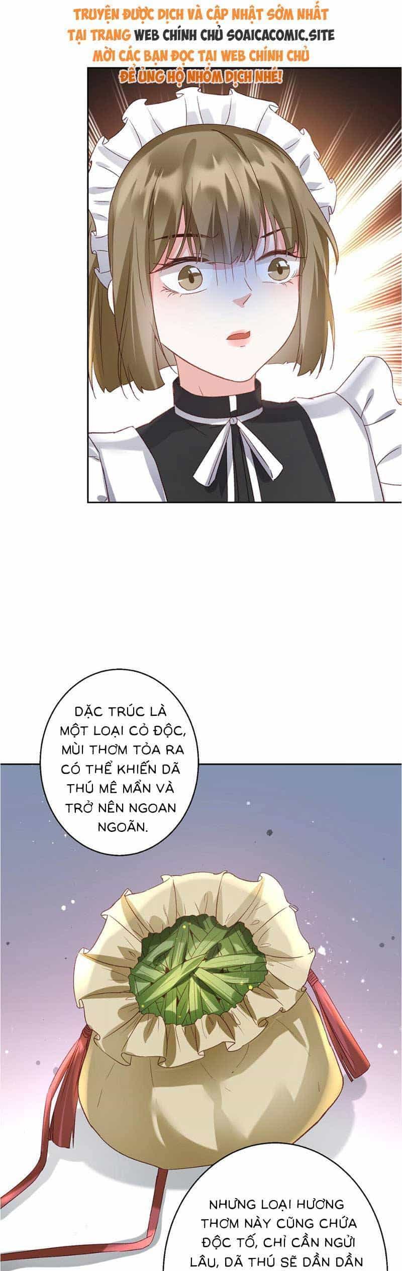 Thiên Kim Toàn Năng Trọng Sinh - Chương 6 - ảnh 10