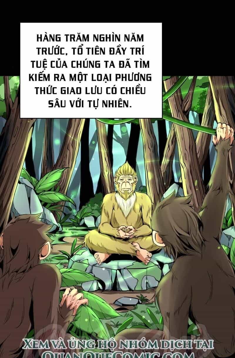 Thiên Luân - Chương 3 - ảnh 1