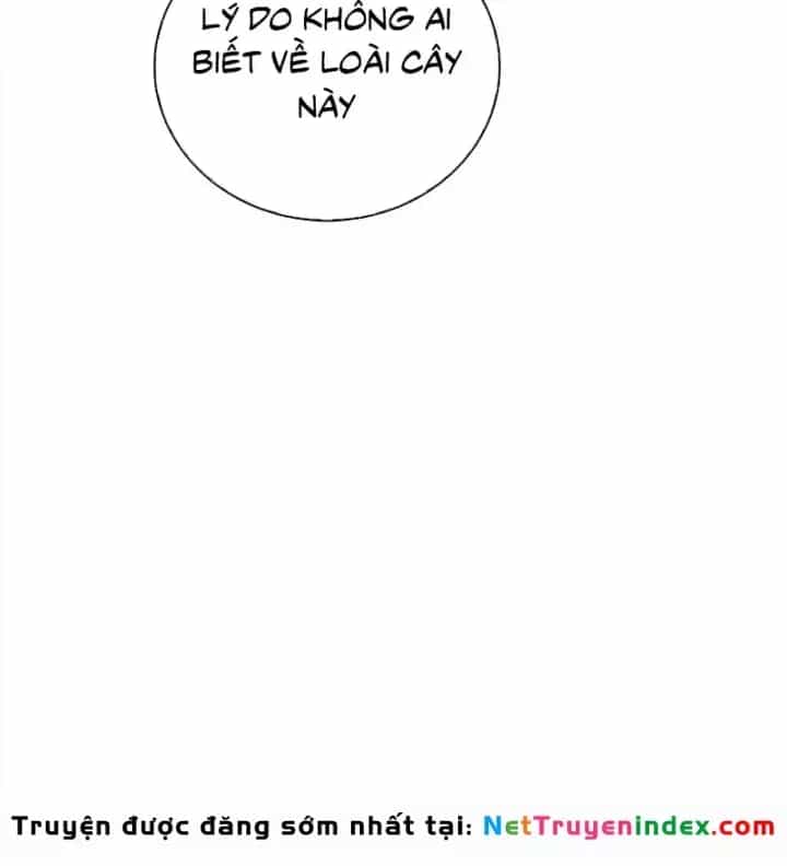 Thiên Qua Thư Khố Đại Công Tử - Chương 171 - ảnh 12