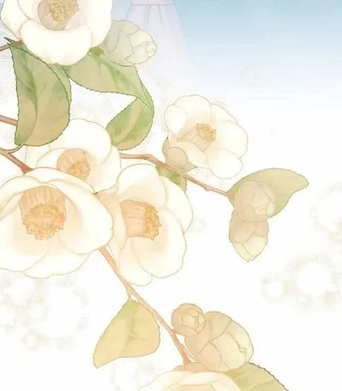 Thiên Tài Âm Nhạc - Chương 34 - ảnh 158