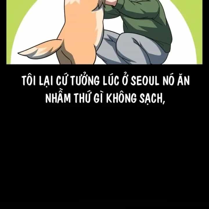 Thiên Tài Bình Dị - Chương 65 - ảnh 73