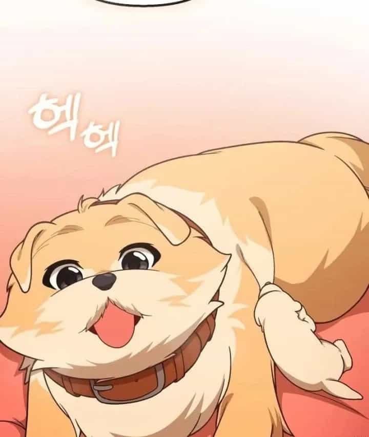 Thiên Tài Bình Dị - Chương 69 - ảnh 19
