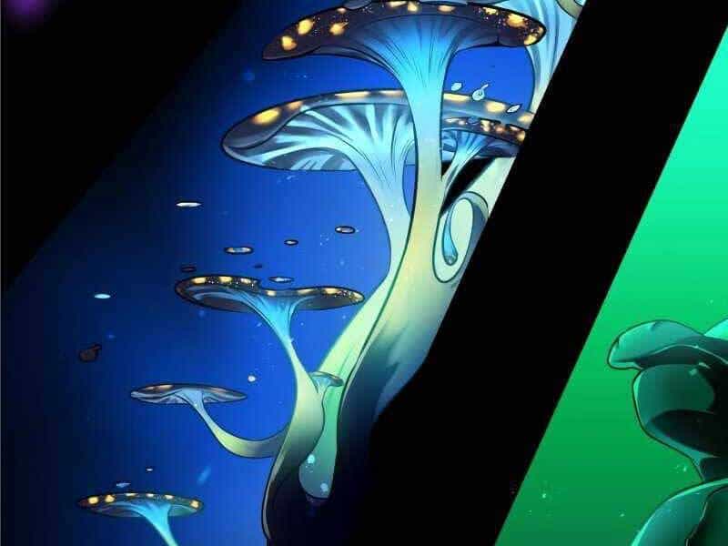 Thiên Tài Của Dòng Dõi Độc Nhất Vô Nhị - Chương 2 - ảnh 242
