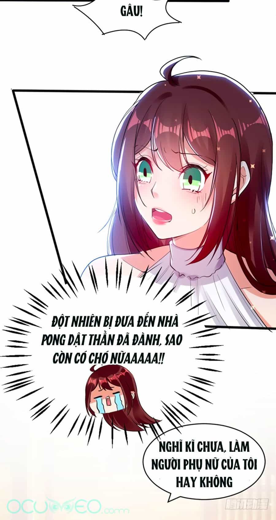 Thiên Tài Khốc Bảo: Tổng Tài Sủng Thê Quá Cường Hãn - Chương 11 - ảnh 19