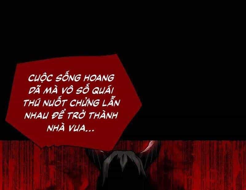 Thiên Tài Ma Pháp Sư Giấu Nghề - Chương 41 - ảnh 29