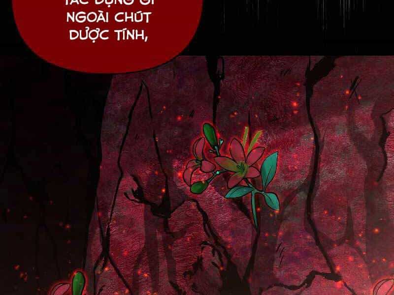 Thiên Tài Ma Pháp Sư Giấu Nghề - Chương 44 - ảnh 118
