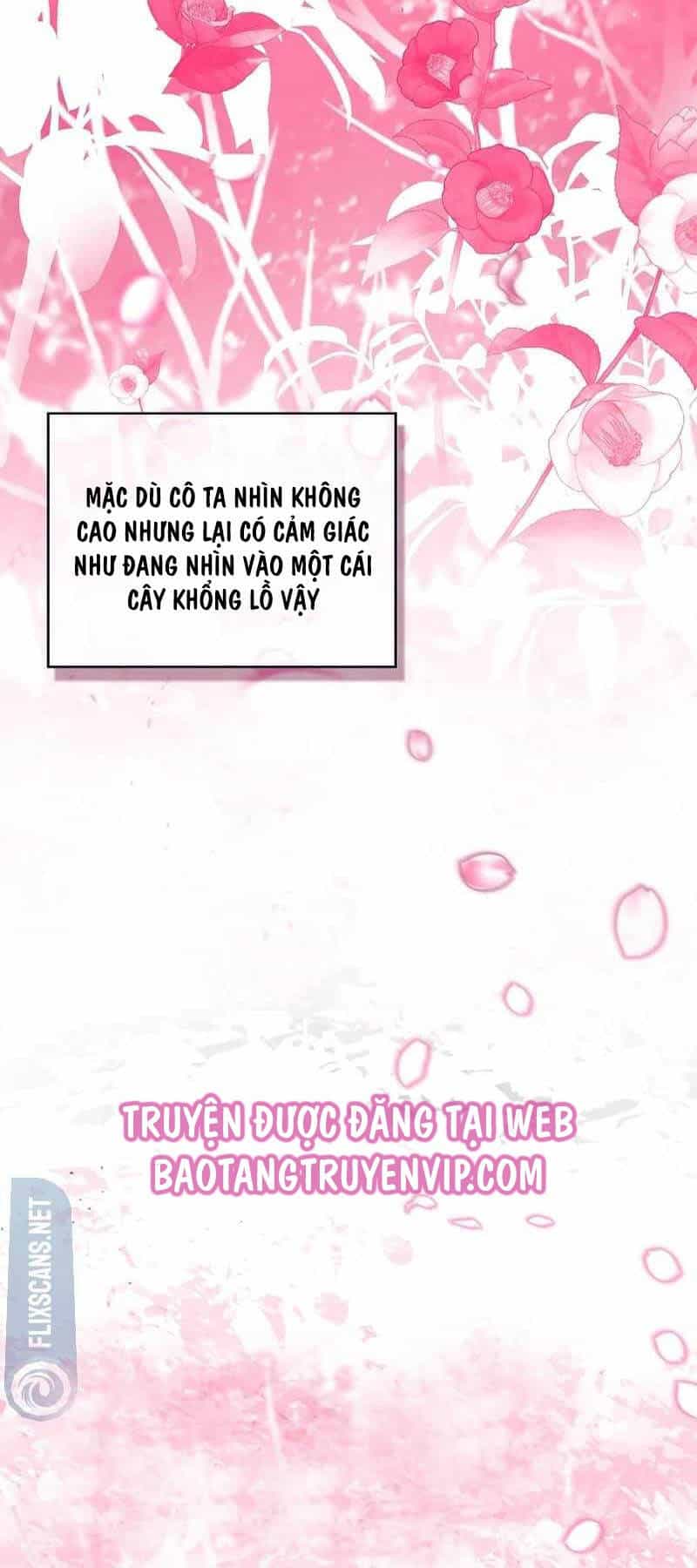 Thiên Tài Ma Pháp Sư Giấu Nghề - Chương 73 - ảnh 21