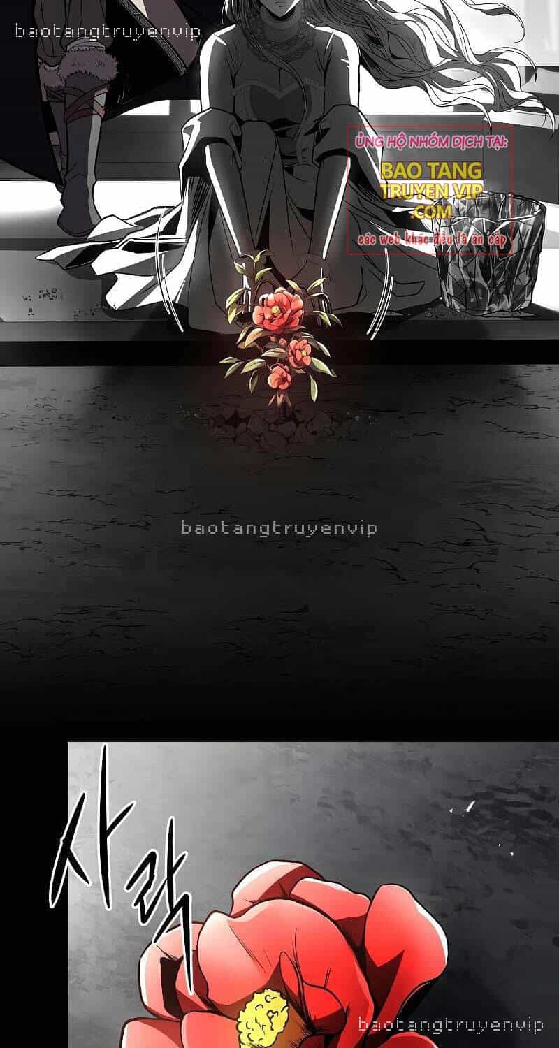 Thiên Tài Ma Pháp Sư Giấu Nghề - Chương 81 - ảnh 20