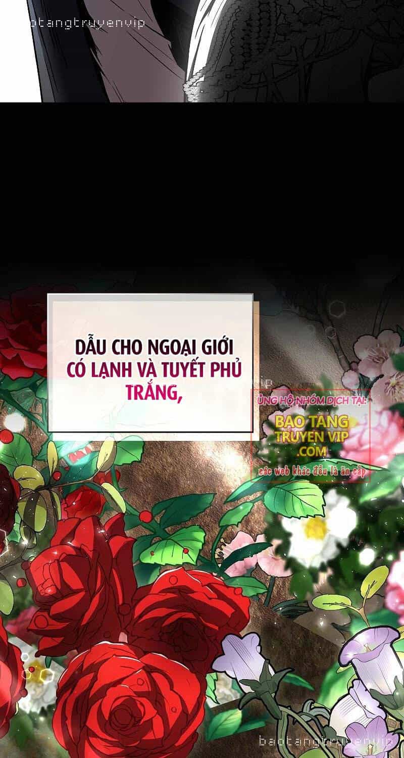 Thiên Tài Ma Pháp Sư Giấu Nghề - Chương 81 - ảnh 24