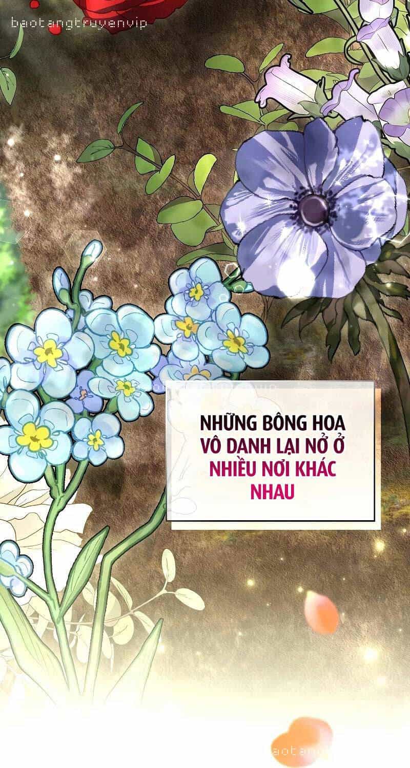 Thiên Tài Ma Pháp Sư Giấu Nghề - Chương 81 - ảnh 25