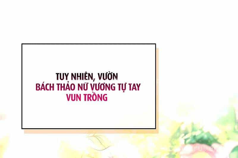 Thiên Tài Ma Pháp Sư Giấu Nghề - Chương 81 - ảnh 35