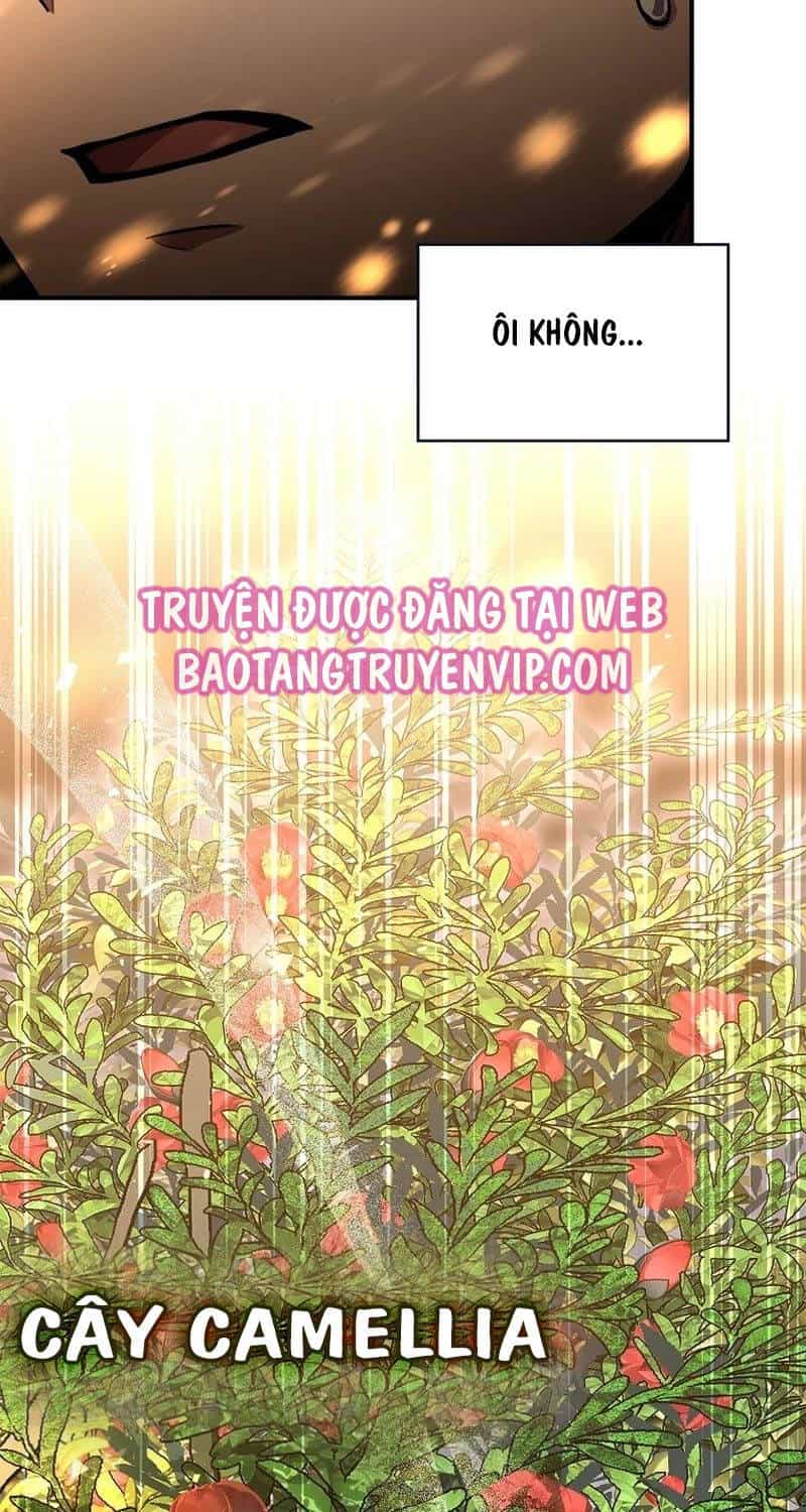 Thiên Tài Ma Pháp Sư Giấu Nghề - Chương 83 - ảnh 115