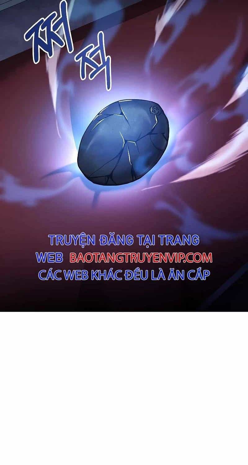 Thiên Tài Ma Pháp Sư Giấu Nghề - Chương 85 - ảnh 111
