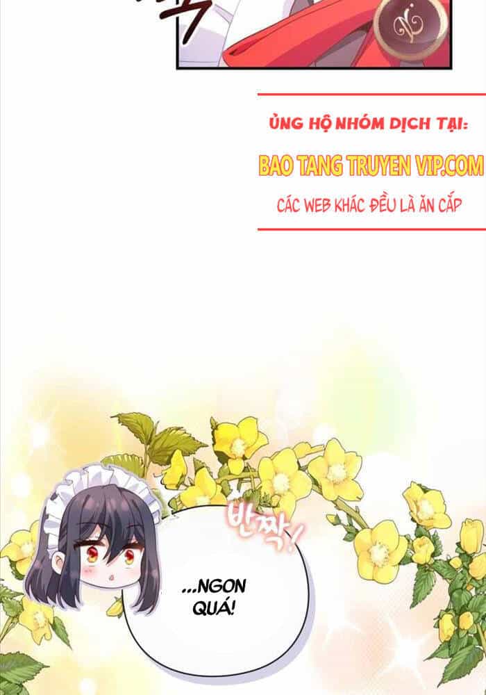 Thiên Tài Phép Thuật Nhà Hầu Tước - Chương 10 - ảnh 20