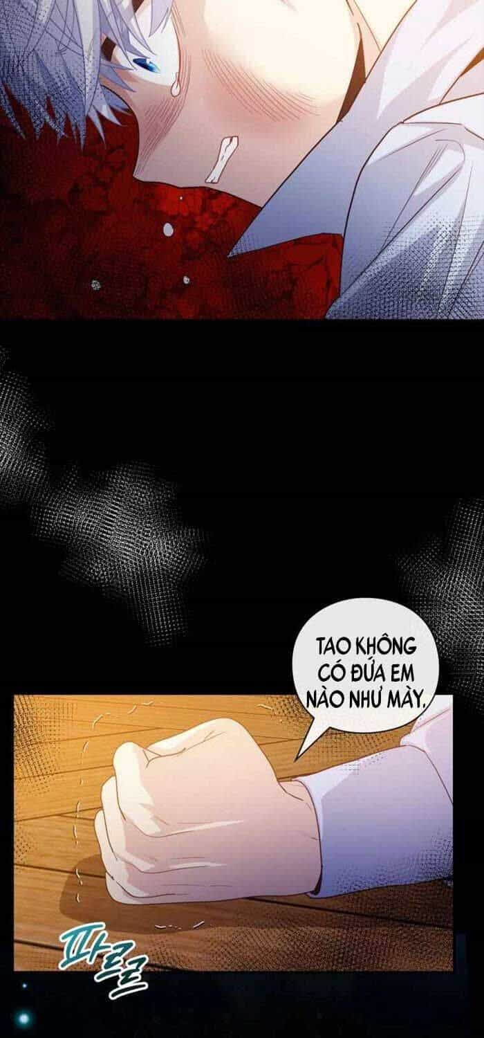 Thiên Tài Phép Thuật Nhà Hầu Tước - Chương 29 - ảnh 31