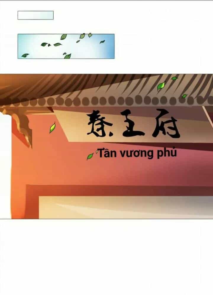 Thiên Tài Tiểu Độc Phi - Chương 40 - ảnh 9
