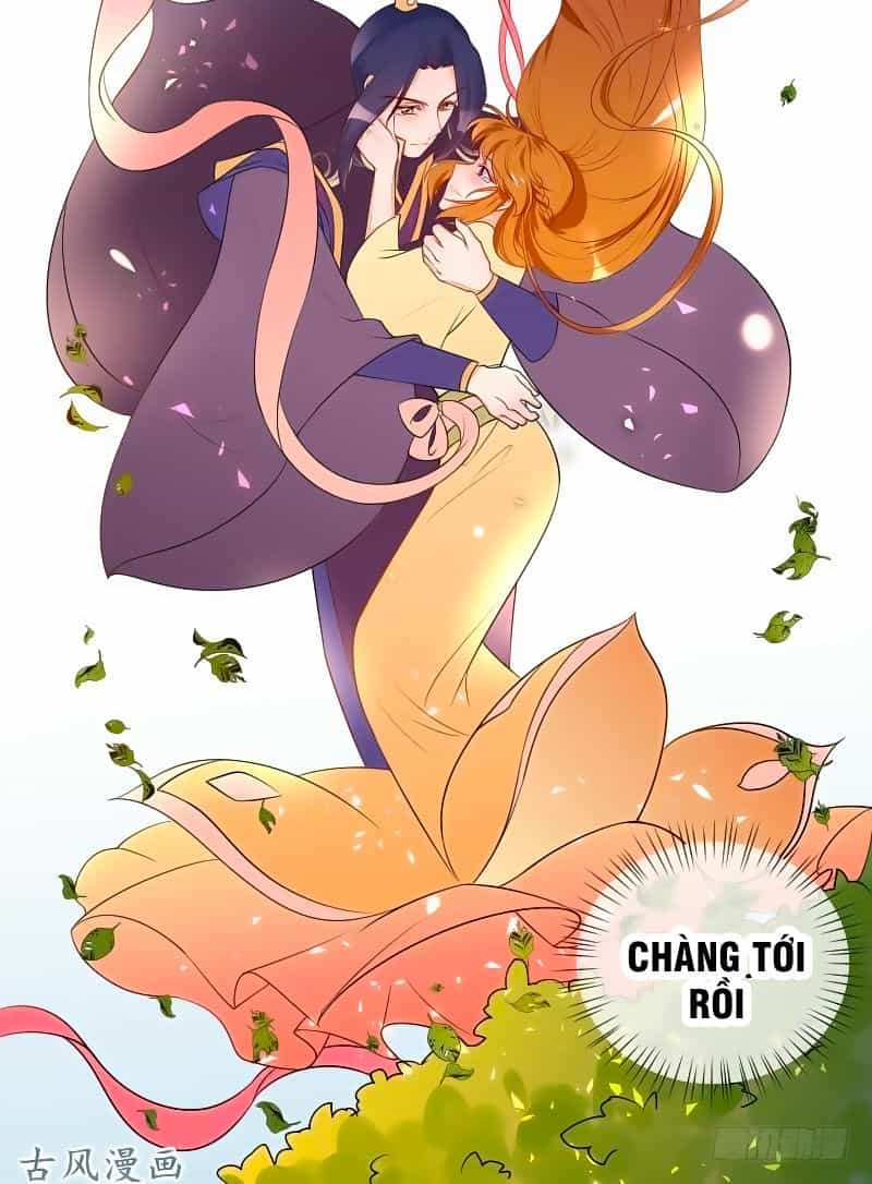 Thiên Tài Tiểu Độc Phi - Chương 52 - ảnh 21