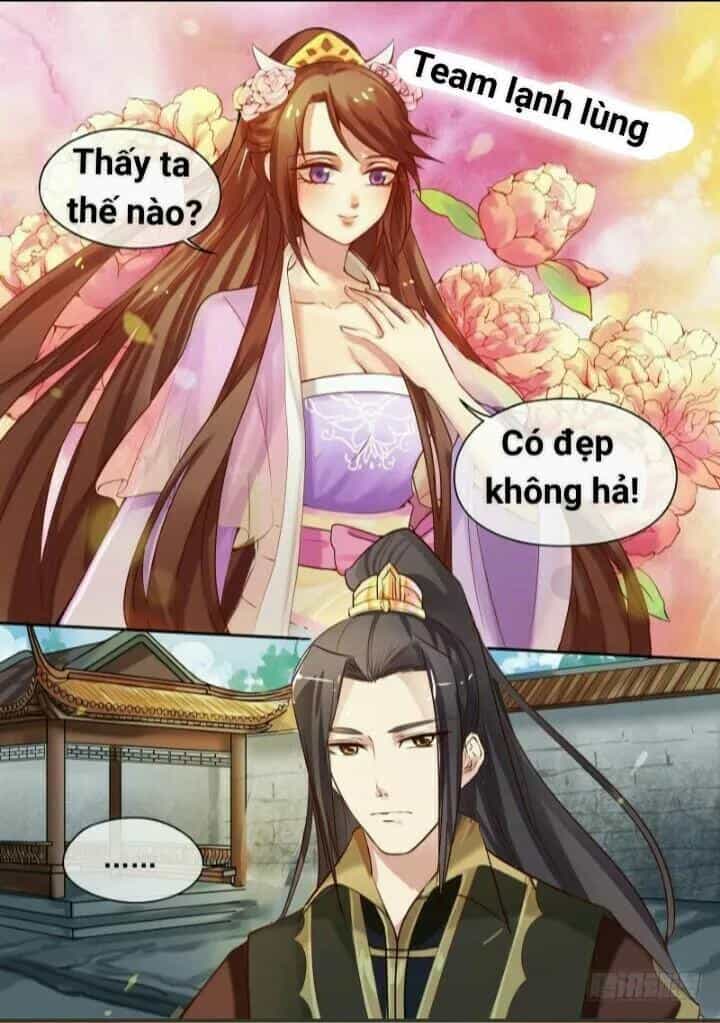 Thiên Tài Tiểu Độc Phi - Chương 8 - ảnh 5