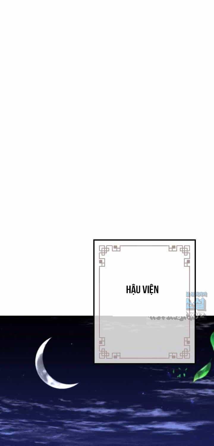 Thiên Tài Võ Thuật Hoàn Sinh - Chương 37 - ảnh 18