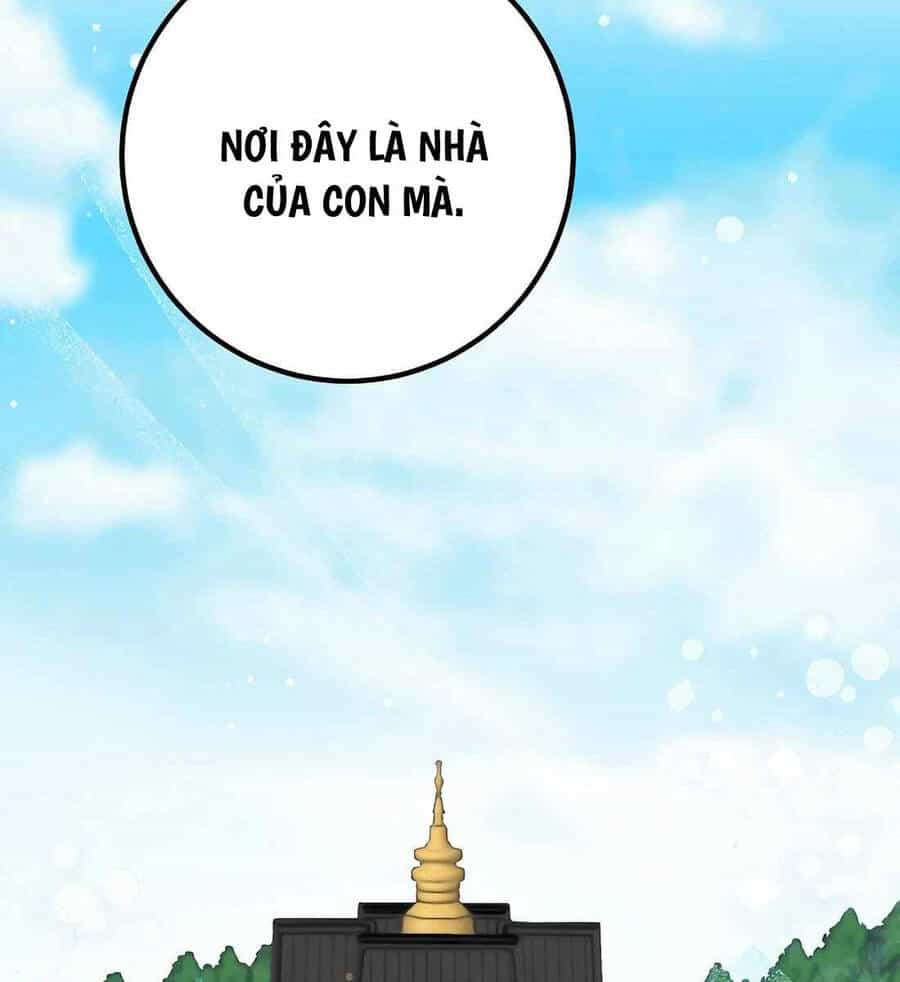 Thiên Tài Võ Thuật Hoàn Sinh - Chương 7.5 - ảnh 25