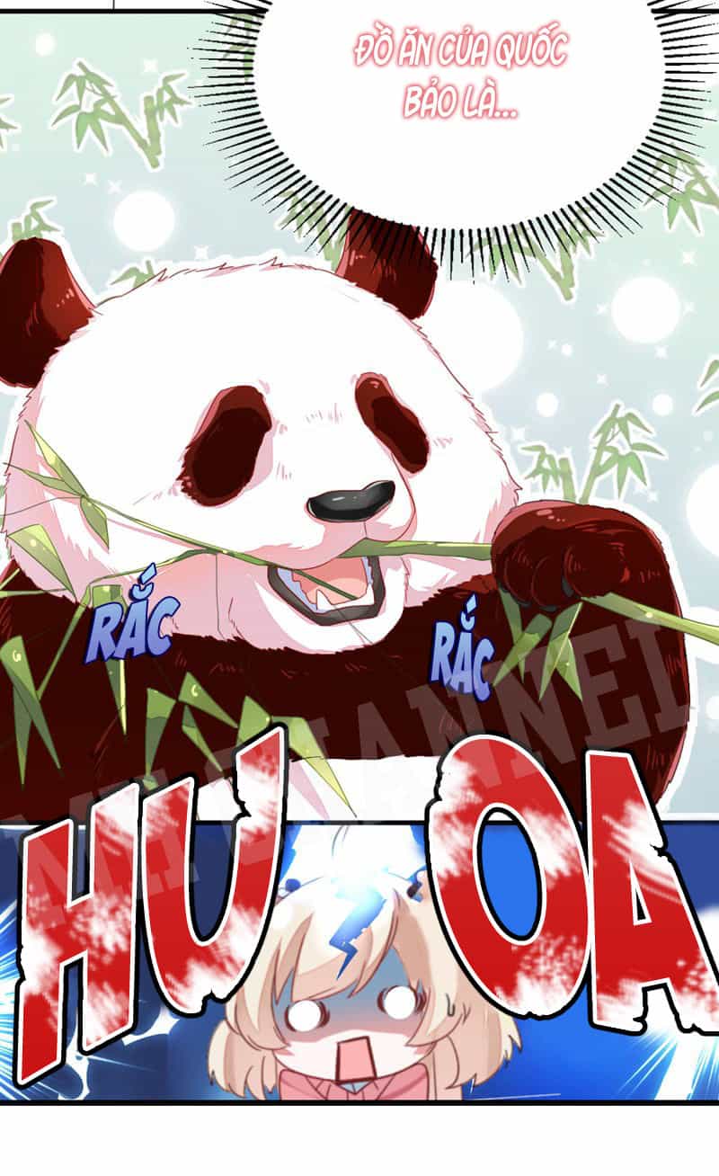 Thiên Thần Gấu Trúc Muốn Được Ôm - Chương 11 - ảnh 16