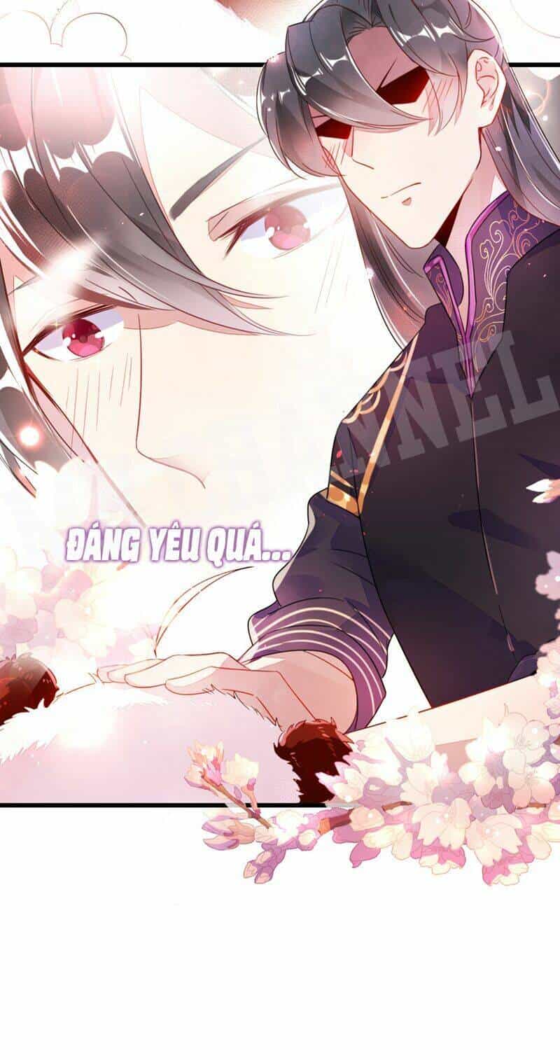 Thiên Thần Gấu Trúc Muốn Được Ôm - Chương 13 - ảnh 21