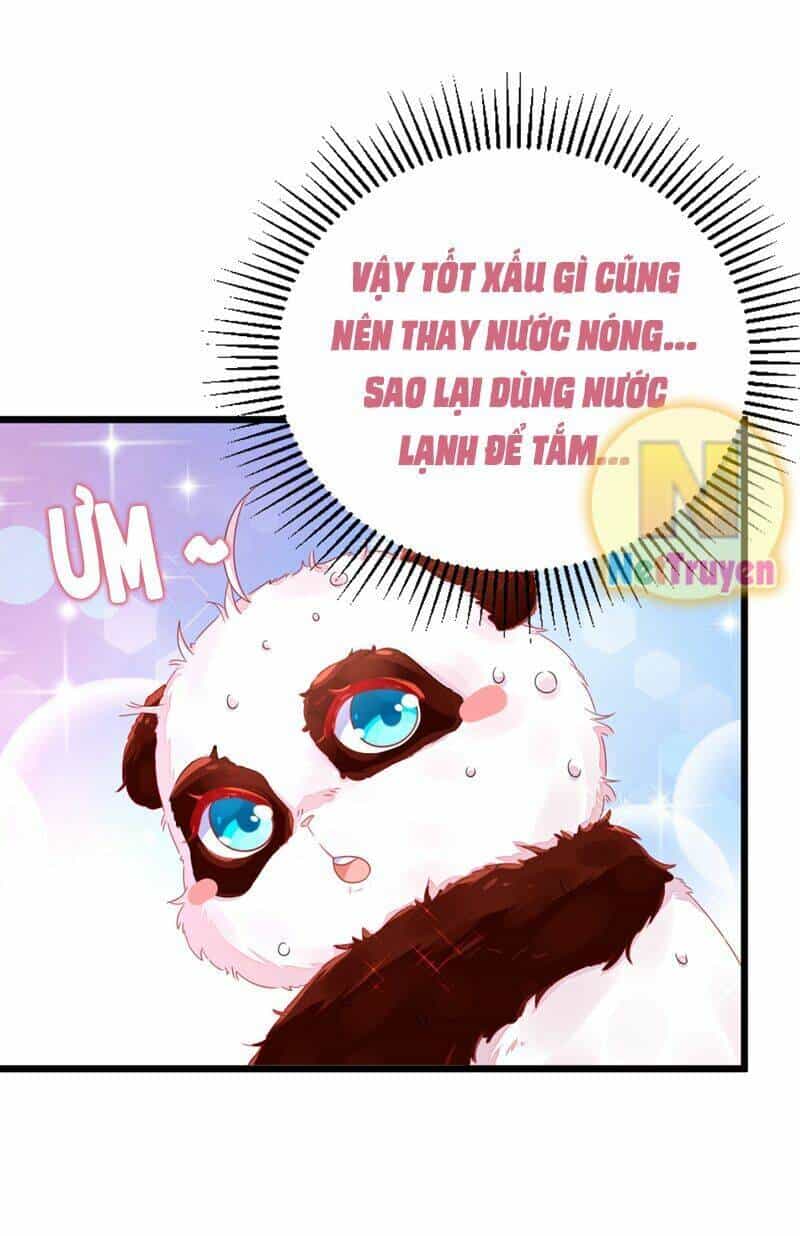 Thiên Thần Gấu Trúc Muốn Được Ôm - Chương 13 - ảnh 9