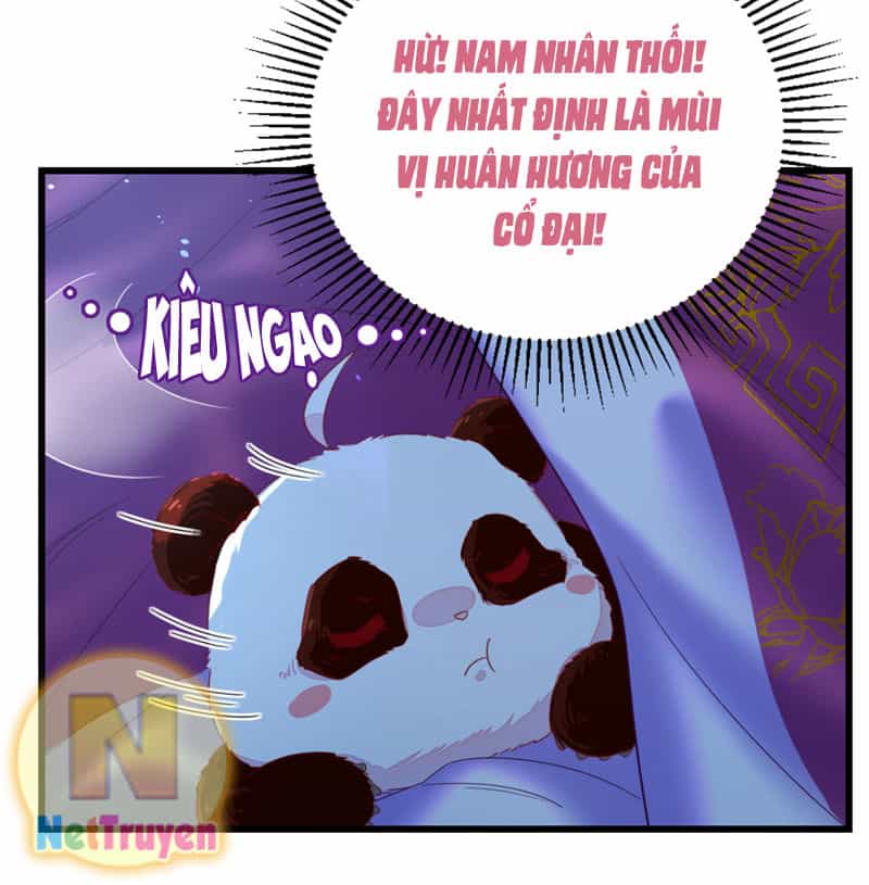 Thiên Thần Gấu Trúc Muốn Được Ôm - Chương 16 - ảnh 12