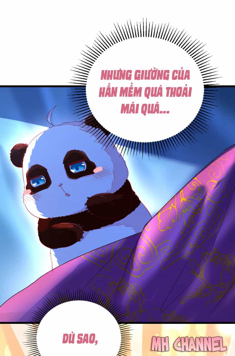 Thiên Thần Gấu Trúc Muốn Được Ôm - Chương 16 - ảnh 7