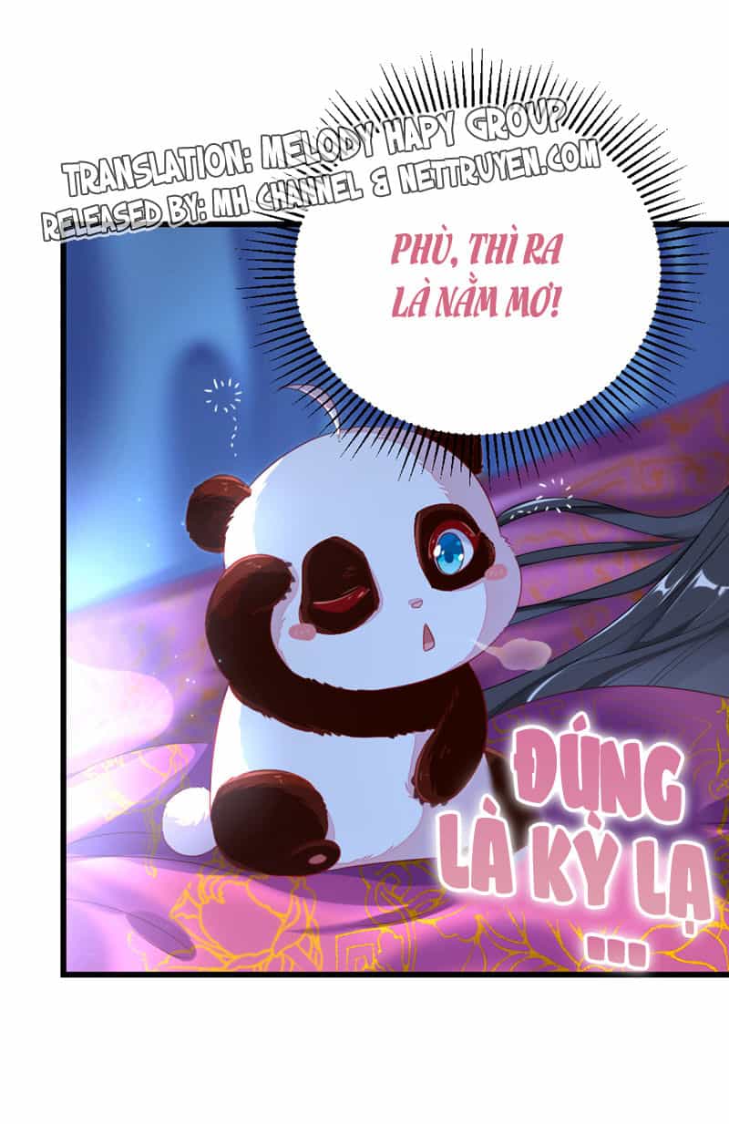 Thiên Thần Gấu Trúc Muốn Được Ôm - Chương 19 - ảnh 13