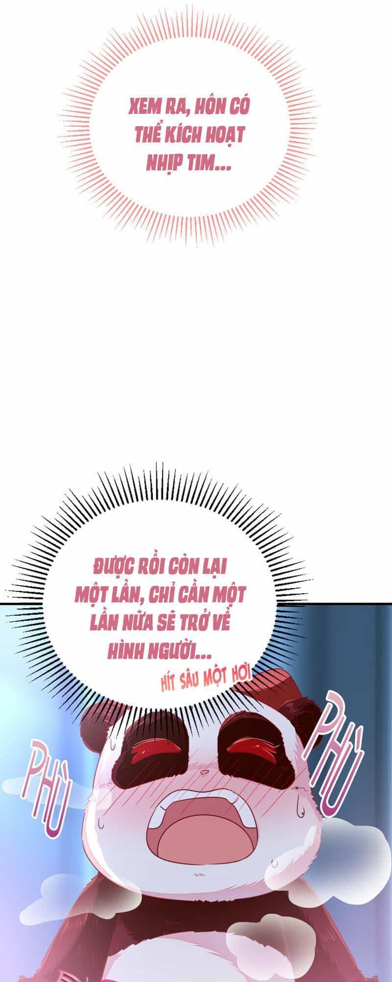 Thiên Thần Gấu Trúc Muốn Được Ôm - Chương 30 - ảnh 10