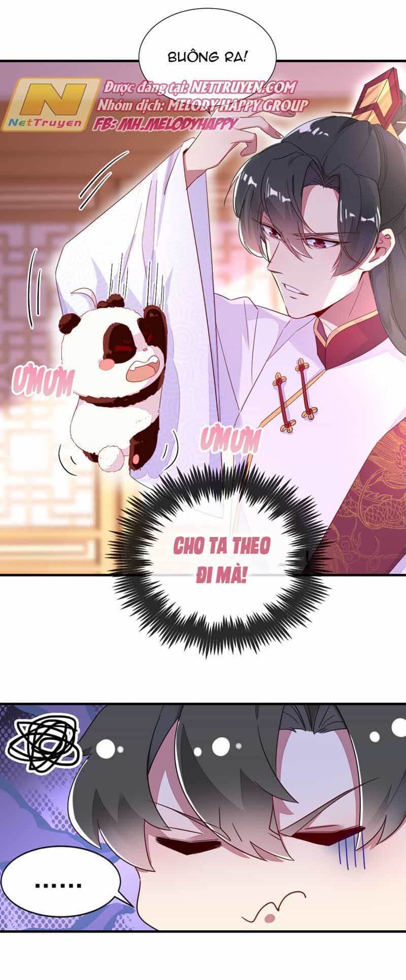 Thiên Thần Gấu Trúc Muốn Được Ôm - Chương 39 - ảnh 5